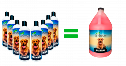 Premium Cleanser 8=3.8L